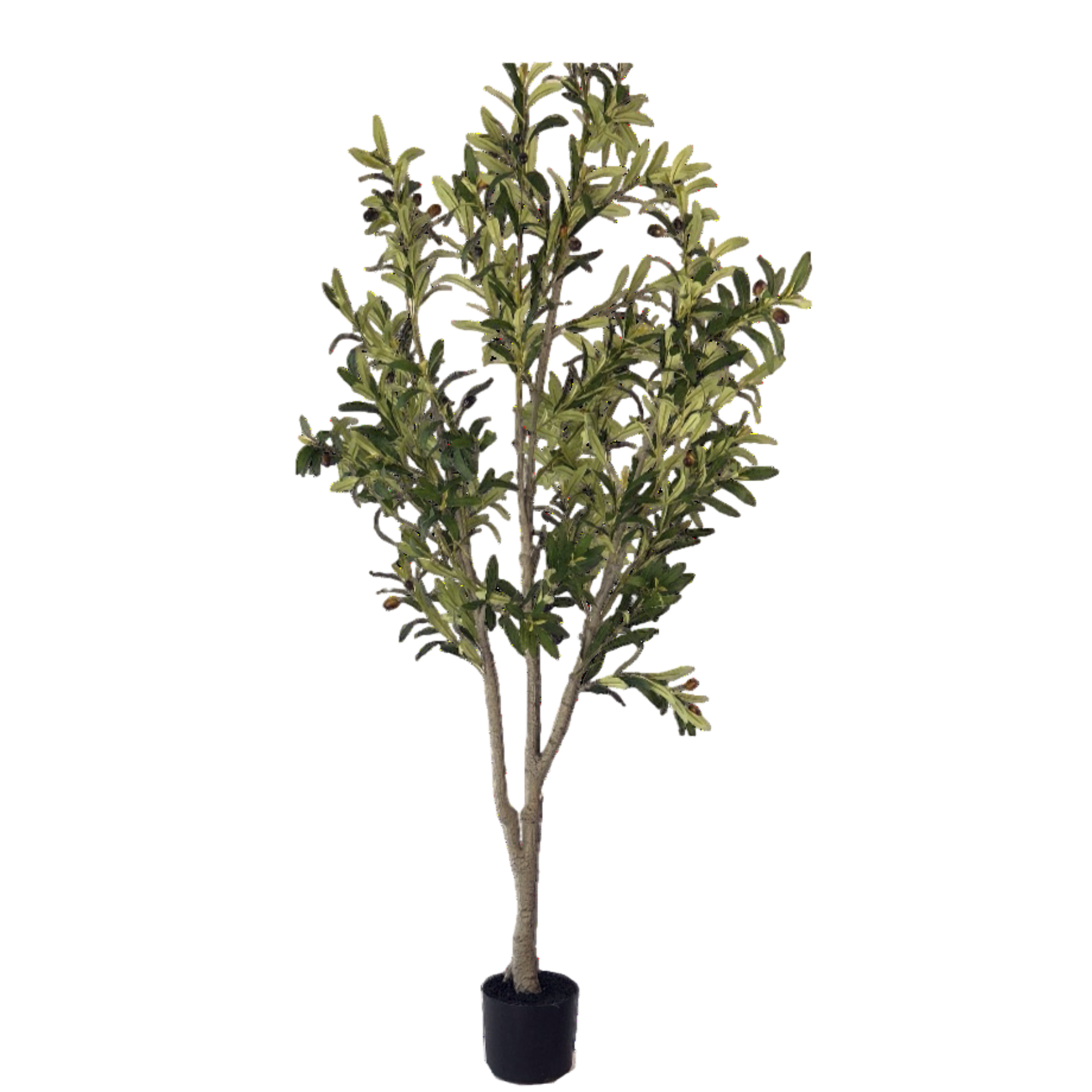 NeverLeafs Kunstmatige olijfboom - 200 cm